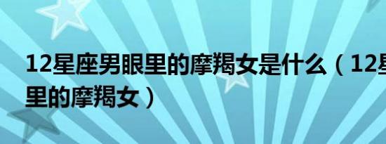 12星座男眼里的摩羯女是什么（12星座男眼里的摩羯女）