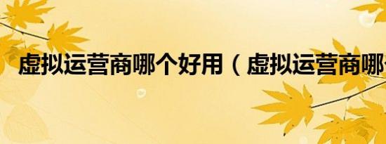 虚拟运营商哪个好用（虚拟运营商哪个好）