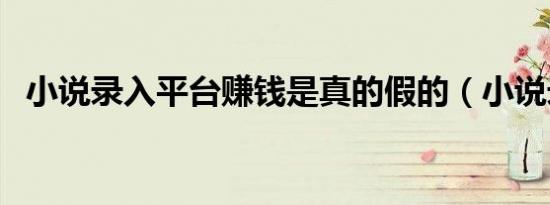 小说录入平台赚钱是真的假的（小说录入）