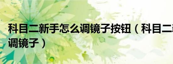 科目二新手怎么调镜子按钮（科目二新手怎么调镜子）