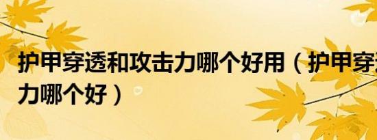 护甲穿透和攻击力哪个好用（护甲穿透和攻击力哪个好）