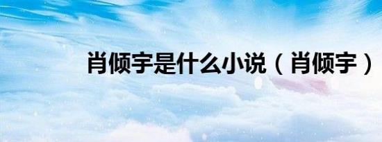 肖倾宇是什么小说（肖倾宇）
