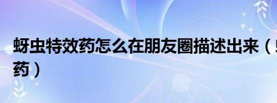 蚜虫特效药怎么在朋友圈描述出来（蚜虫特效药）