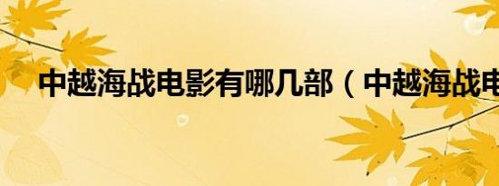 中越海战电影有哪几部（中越海战电影）