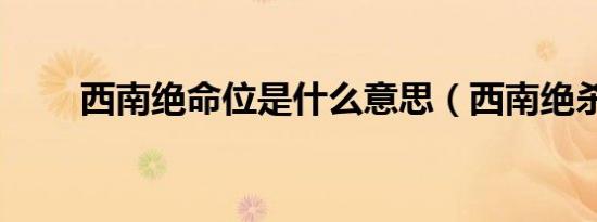 西南绝命位是什么意思（西南绝杀）