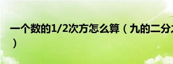 一个数的1/2次方怎么算（九的二分之一次方）