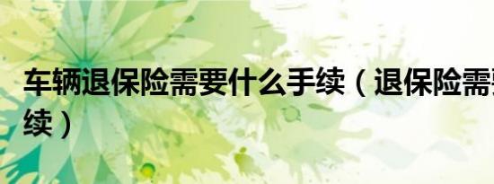 车辆退保险需要什么手续（退保险需要什么手续）