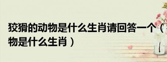 狡猾的动物是什么生肖请回答一个（狡猾的动物是什么生肖）