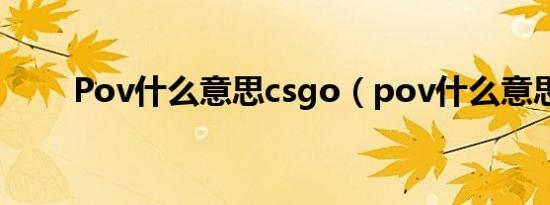Pov什么意思csgo（pov什么意思）