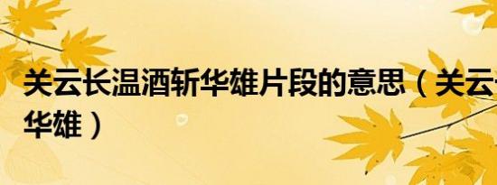 关云长温酒斩华雄片段的意思（关云长温酒斩华雄）