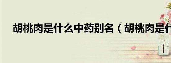 胡桃肉是什么中药别名（胡桃肉是什么）