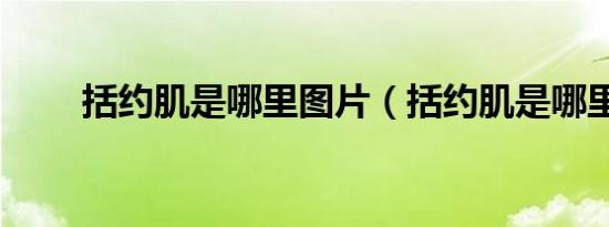 括约肌是哪里图片（括约肌是哪里）