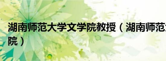 湖南师范大学文学院教授（湖南师范大学文学院）