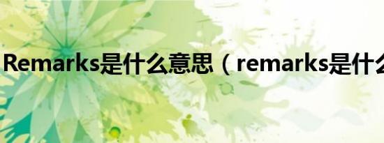 Remarks是什么意思（remarks是什么意思）