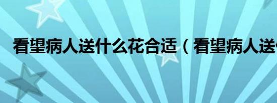 看望病人送什么花合适（看望病人送什么）