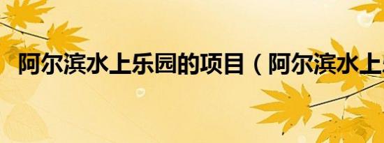 阿尔滨水上乐园的项目（阿尔滨水上乐园）