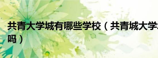 共青大学城有哪些学校（共青城大学城是个坑吗）