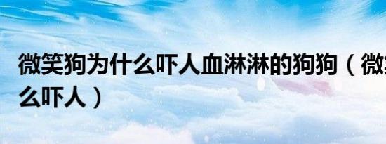 微笑狗为什么吓人血淋淋的狗狗（微笑狗为什么吓人）