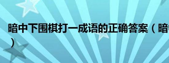 暗中下围棋打一成语的正确答案（暗中下围棋）