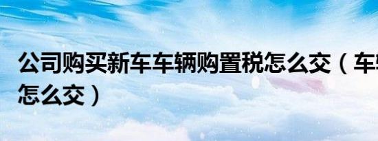 公司购买新车车辆购置税怎么交（车辆购置税怎么交）