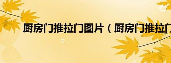 厨房门推拉门图片（厨房门推拉门）