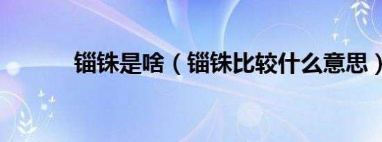 锱铢是啥（锱铢比较什么意思）
