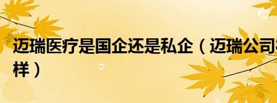 迈瑞医疗是国企还是私企（迈瑞公司待遇怎么样）
