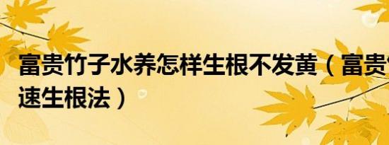 富贵竹子水养怎样生根不发黄（富贵竹水养快速生根法）