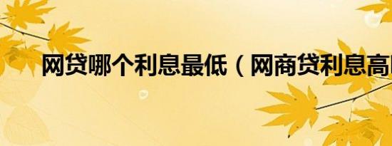 网贷哪个利息最低（网商贷利息高吗）
