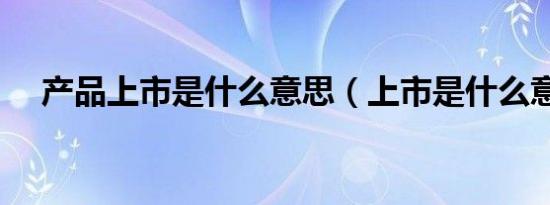 产品上市是什么意思（上市是什么意思）