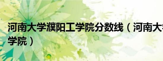 河南大学濮阳工学院分数线（河南大学濮阳工学院）