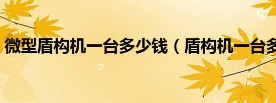 微型盾构机一台多少钱（盾构机一台多少钱）