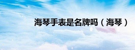 海琴手表是名牌吗（海琴）