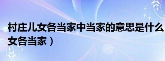 村庄儿女各当家中当家的意思是什么（村庄儿女各当家）