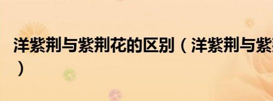 洋紫荆与紫荆花的区别（洋紫荆与紫荆的区别）