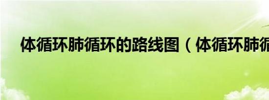 体循环肺循环的路线图（体循环肺循环）