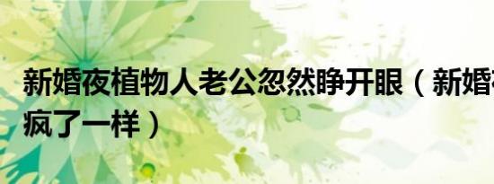 新婚夜植物人老公忽然睁开眼（新婚夜老公跟疯了一样）