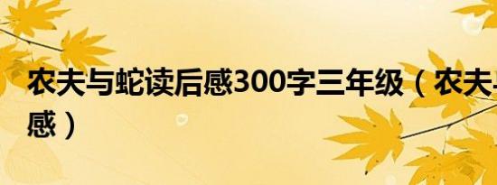 农夫与蛇读后感300字三年级（农夫与蛇读后感）