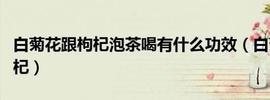 白菊花跟枸杞泡茶喝有什么功效（白菊花跟枸杞）