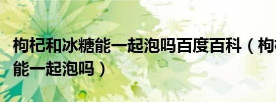 枸杞和冰糖能一起泡吗百度百科（枸杞和冰糖能一起泡吗）