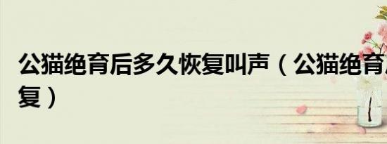 公猫绝育后多久恢复叫声（公猫绝育后多久恢复）