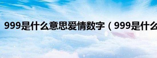 999是什么意思爱情数字（999是什么意思）