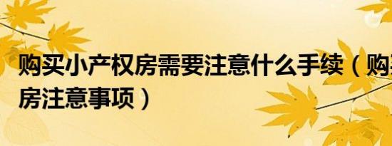 购买小产权房需要注意什么手续（购买小产权房注意事项）