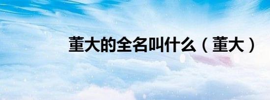 董大的全名叫什么（董大）