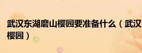 武汉东湖磨山樱园要准备什么（武汉东湖磨山樱园）