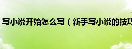 写小说开始怎么写（新手写小说的技巧开头）