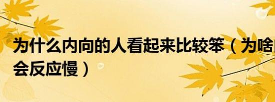 为什么内向的人看起来比较笨（为啥内向的人会反应慢）