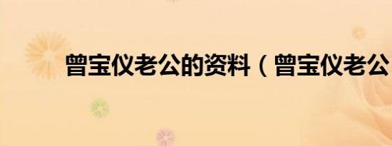 曾宝仪老公的资料（曾宝仪老公）