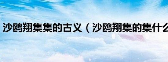沙鸥翔集集的古义（沙鸥翔集的集什么意思）