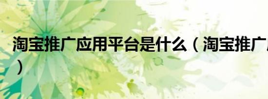 淘宝推广应用平台是什么（淘宝推广应用平台）